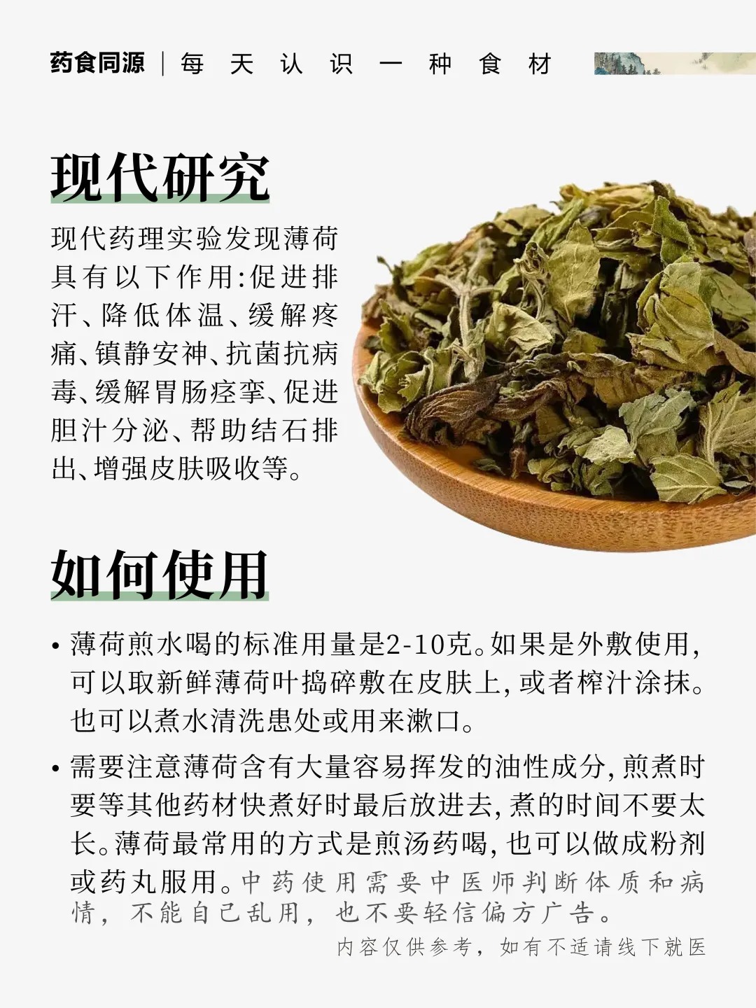 薄荷｜夏日的天然清凉使者。辛凉沁心，千年解暑智慧结晶。📜 《本草纲目》载：古人以薄荷代茶，清心怡神。🍃 一缕清凉，唤醒疲惫身心